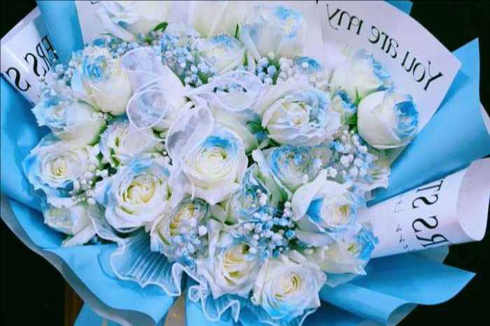 �ٷڰ����ػ���